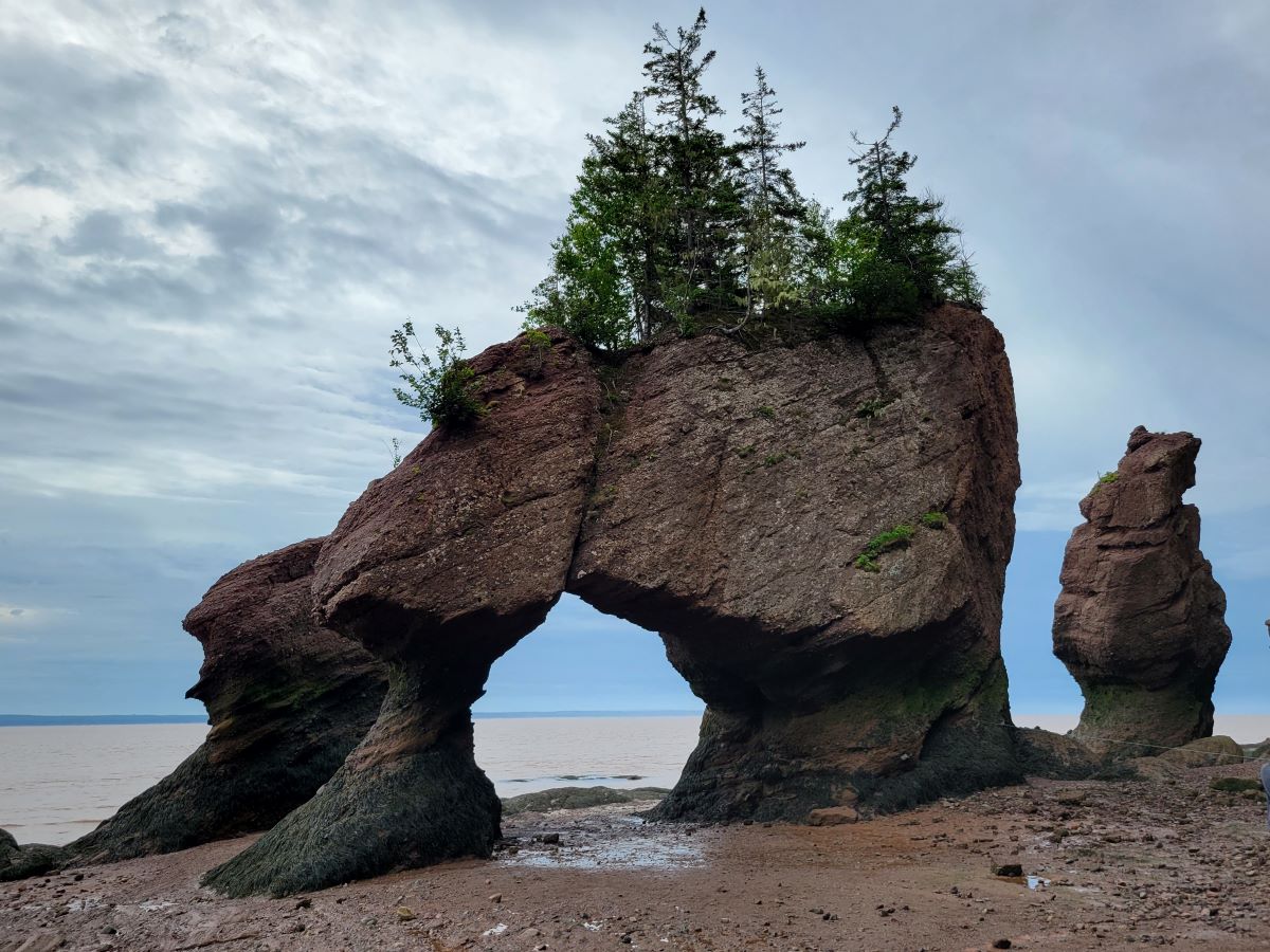 Hopewell Rocks Your Guide To The Amazing Sea Stacks